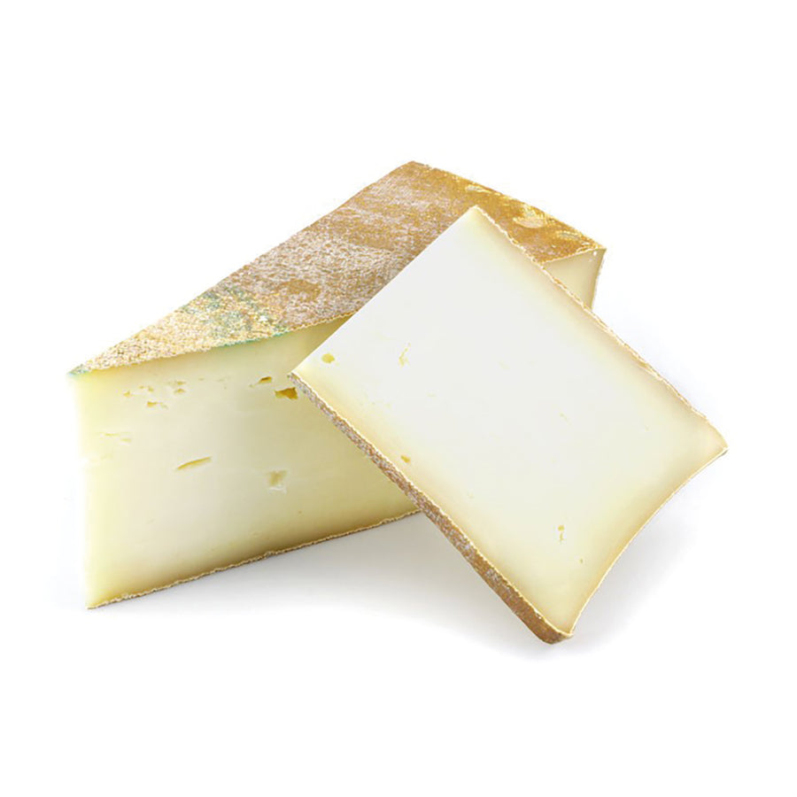 Genziana Formaggio Fontal Spicchio
